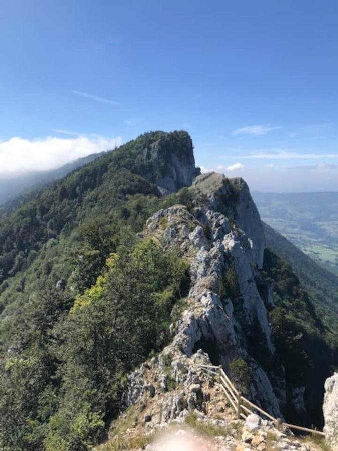 Gite La Montagnette Ruffieux エクステリア 写真
